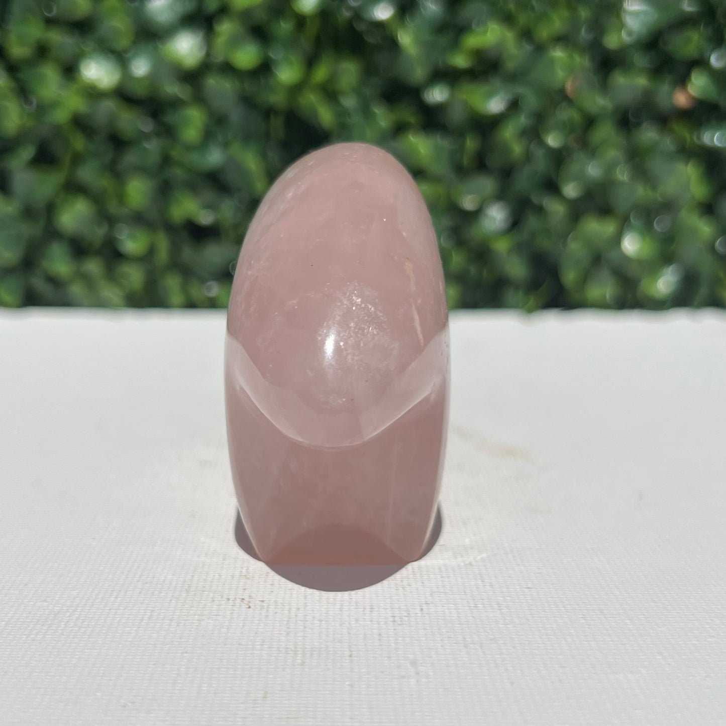 Rose Quartz Wombat