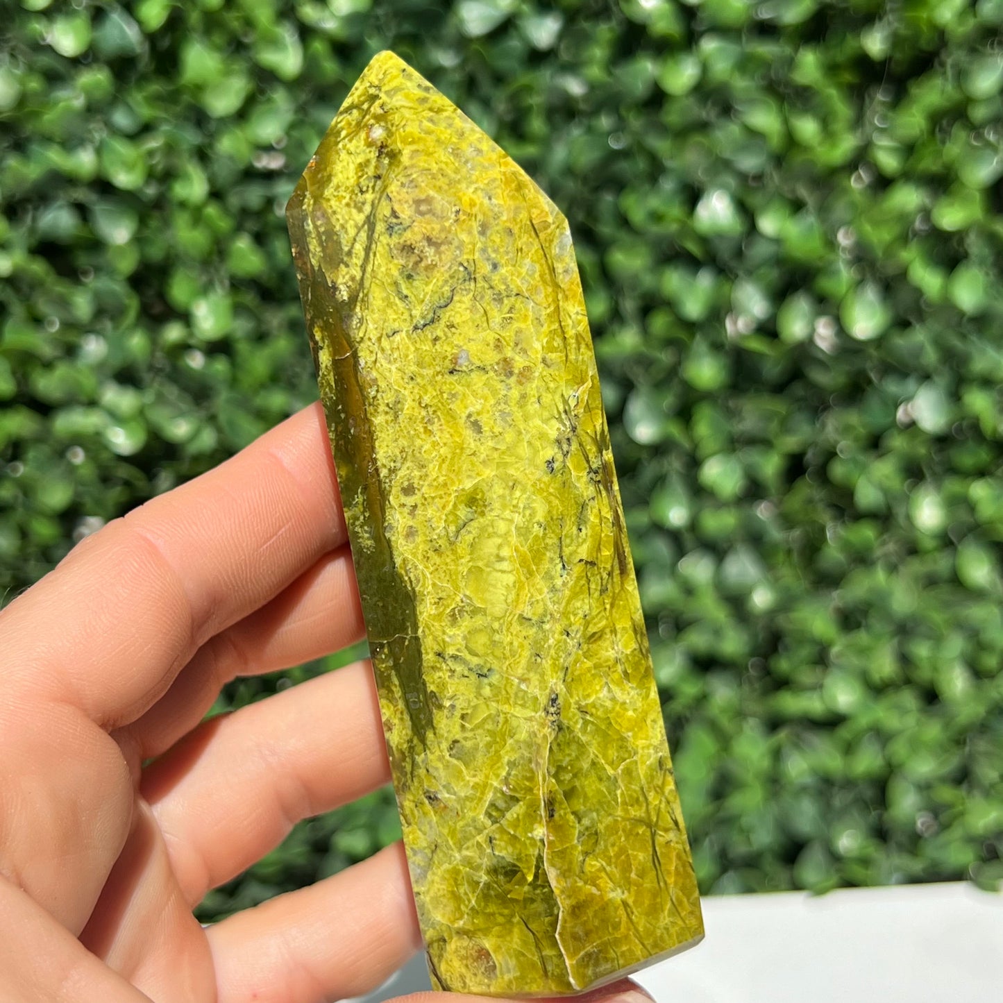 Kiwi Opal Tower