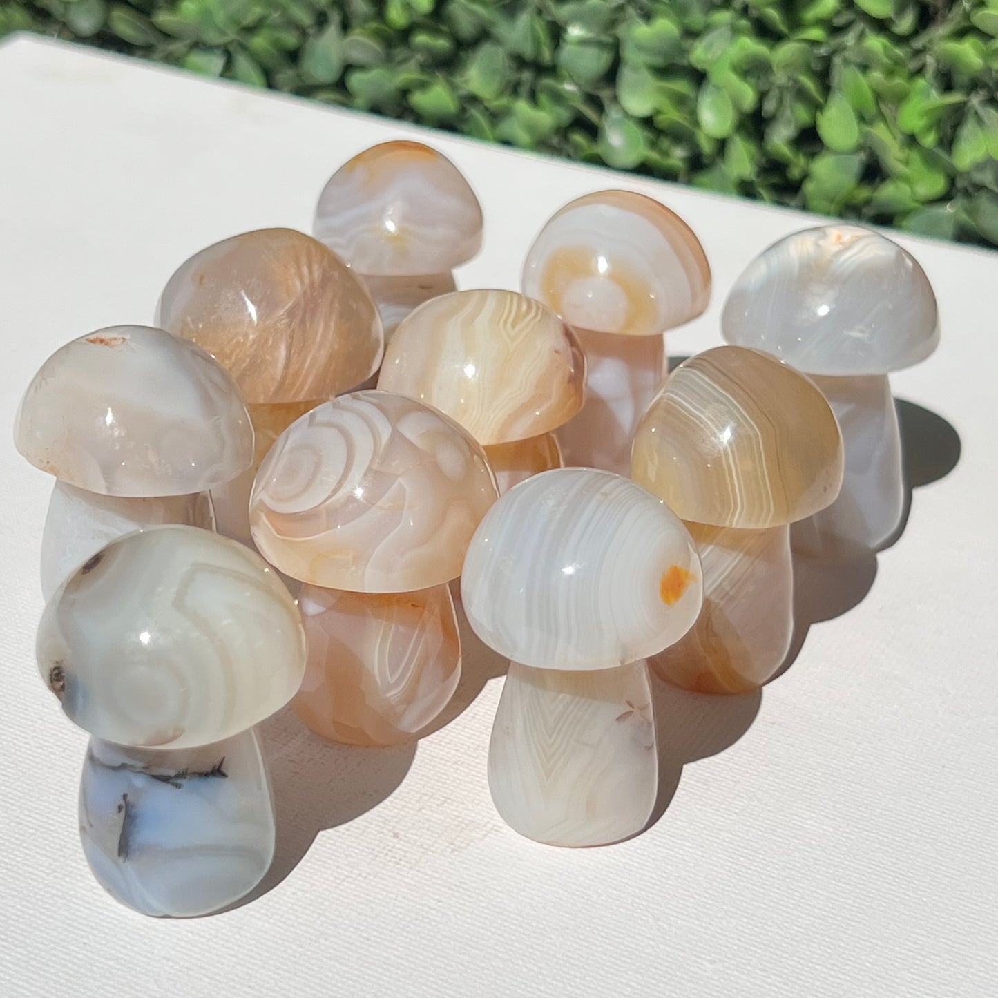 Agate Small Mushroom’s