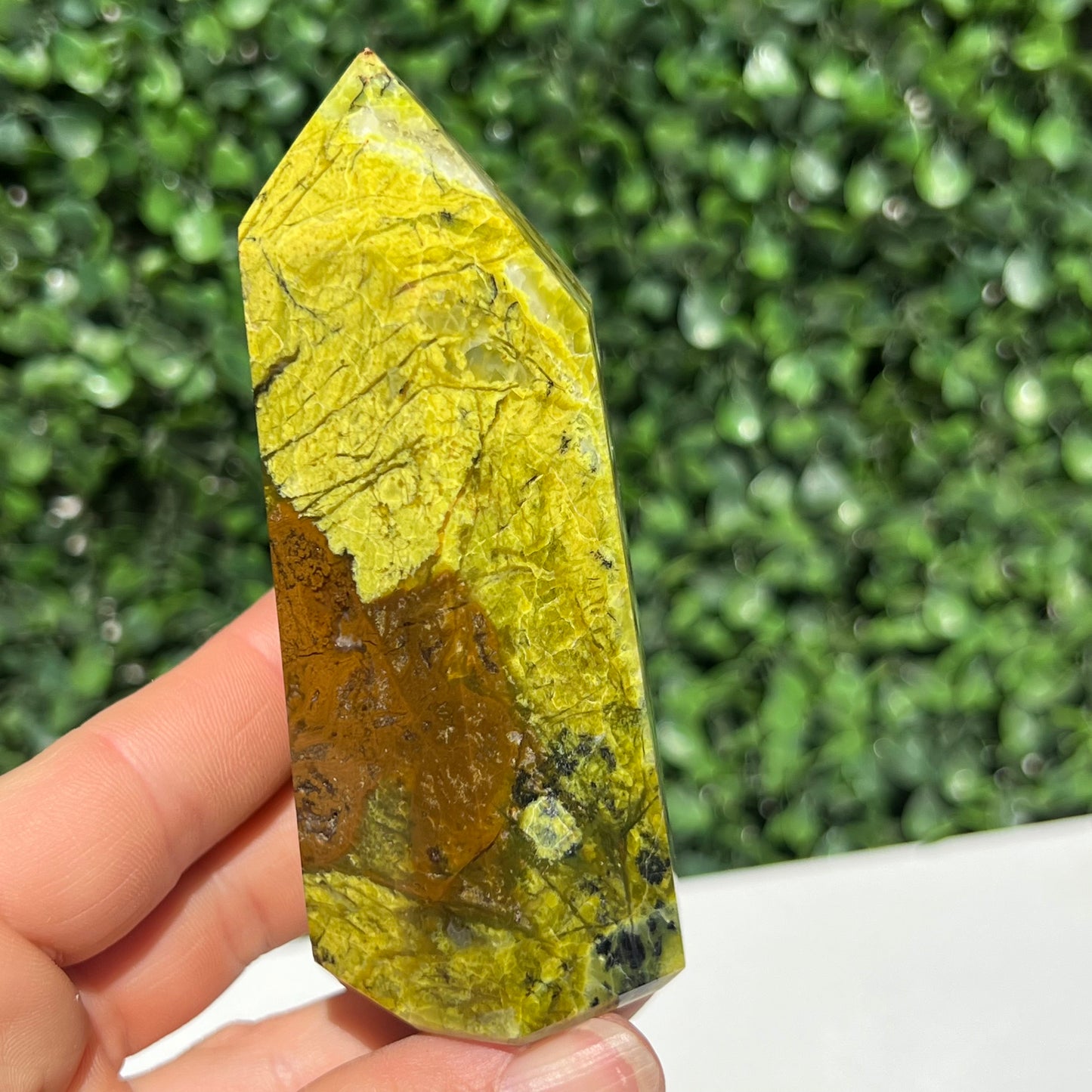 Kiwi Opal Tower