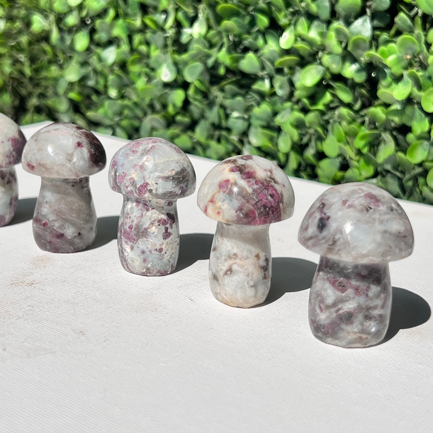Eudialyte Rubellite Small Mushroom’s