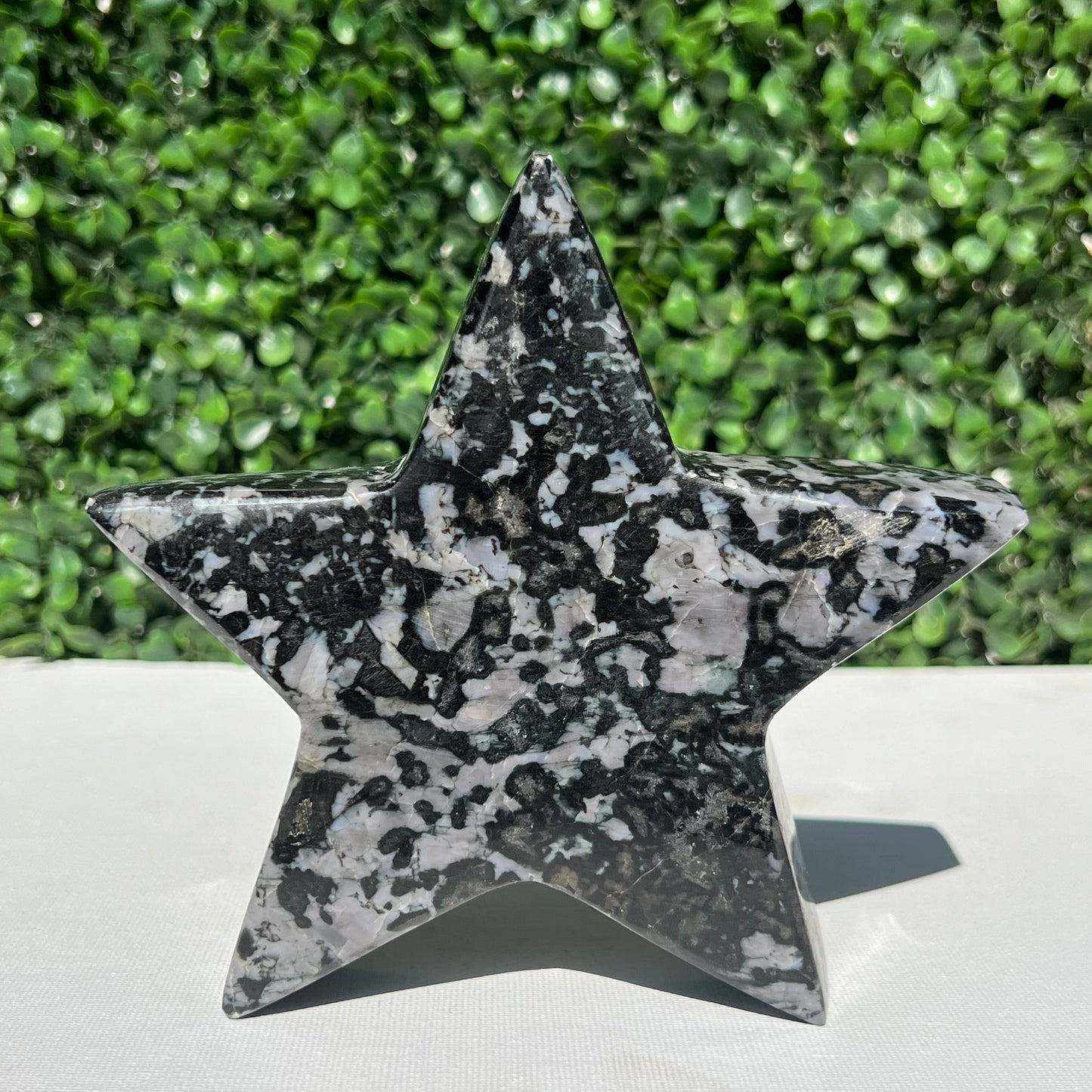 Mystic Merlinite Gabbro Star