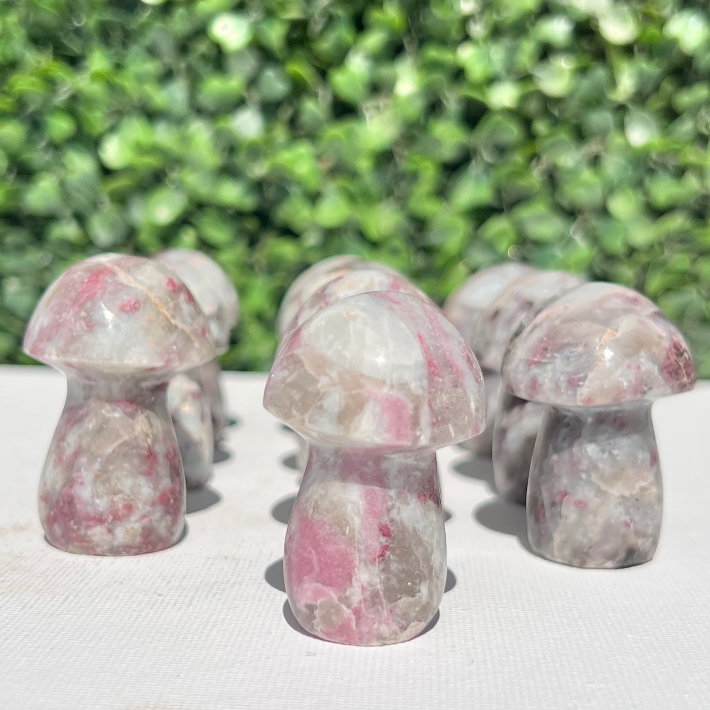 Eudialyte Rubellite Small Mushroom’s