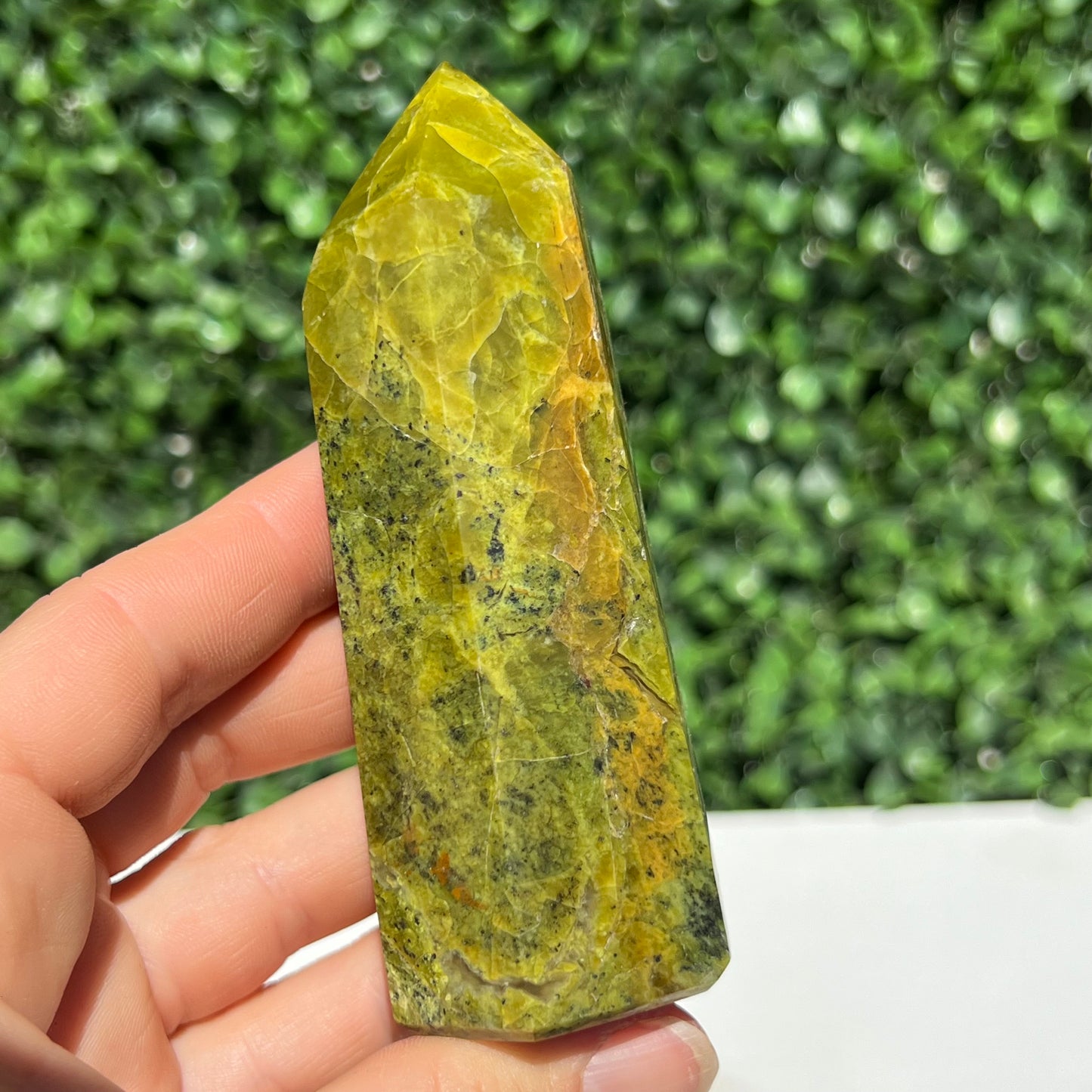 Kiwi Opal Tower