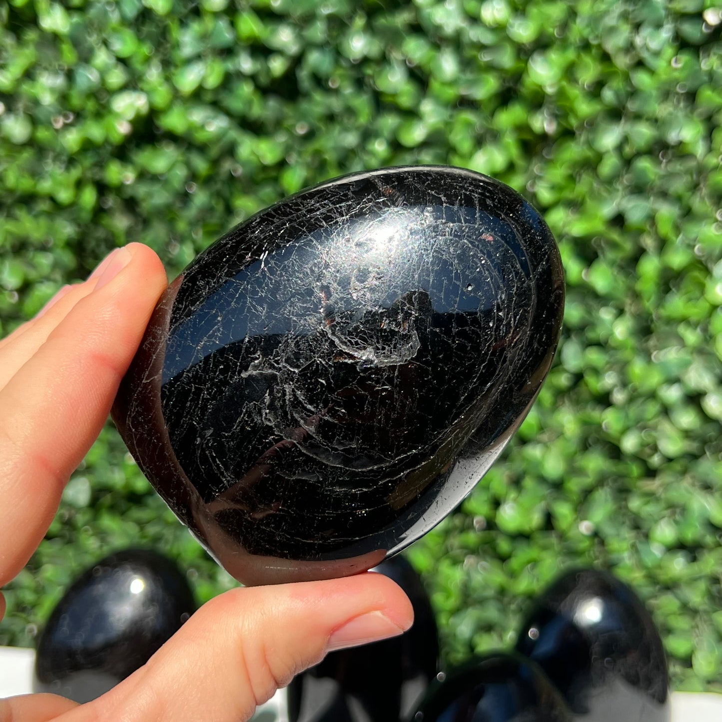 Black Tourmaline Free Form’s