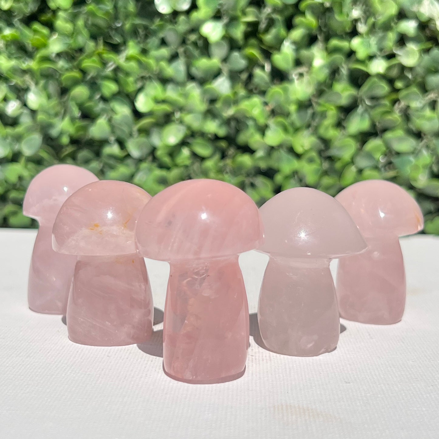 Rose Quartz Small Mushroom’s