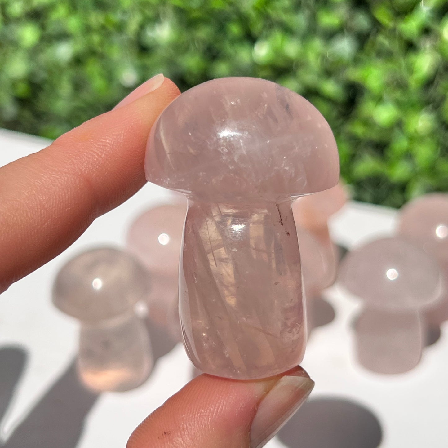 Rose Quartz Small Mushroom’s