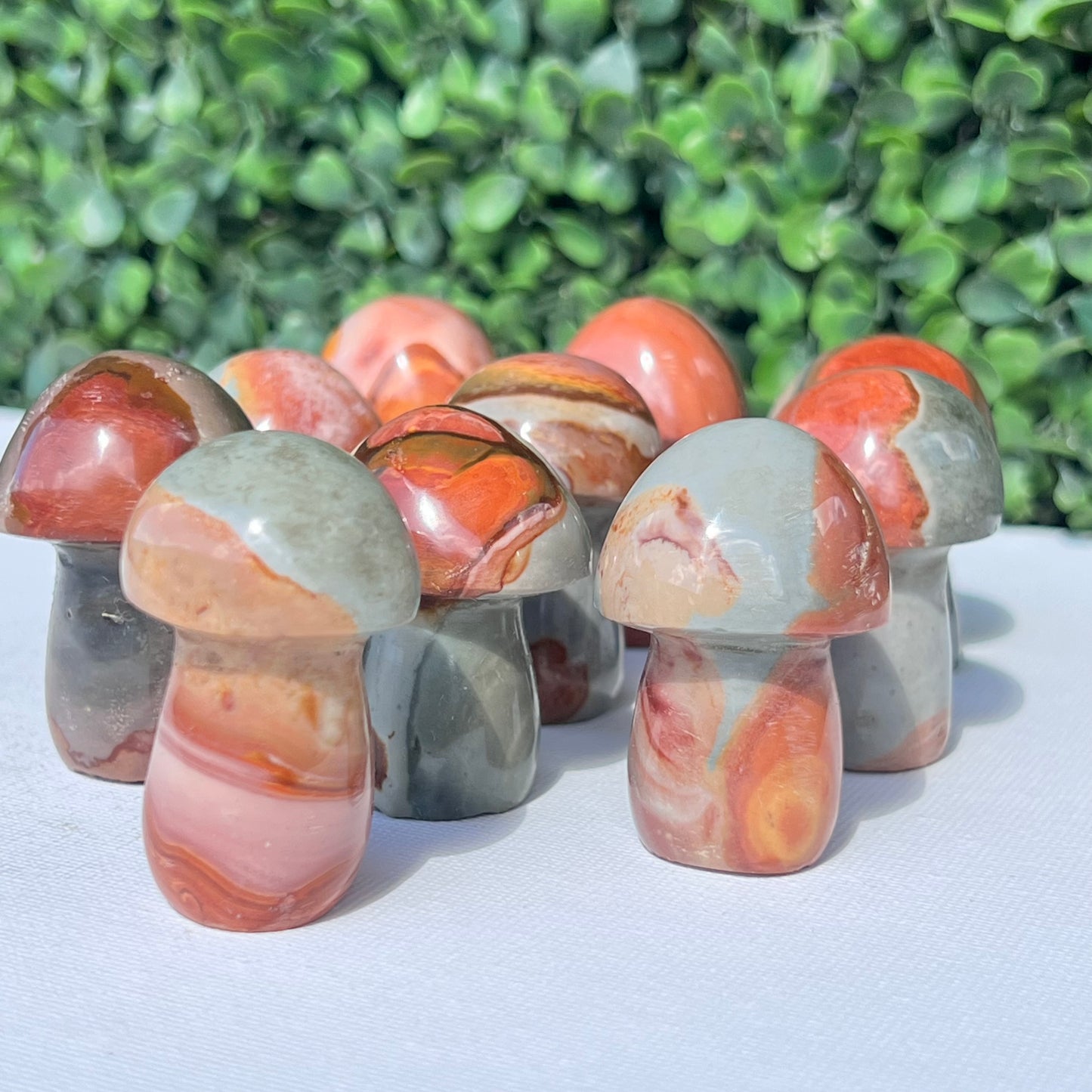 Polychrome Desert Japser Small Mushroom’s
