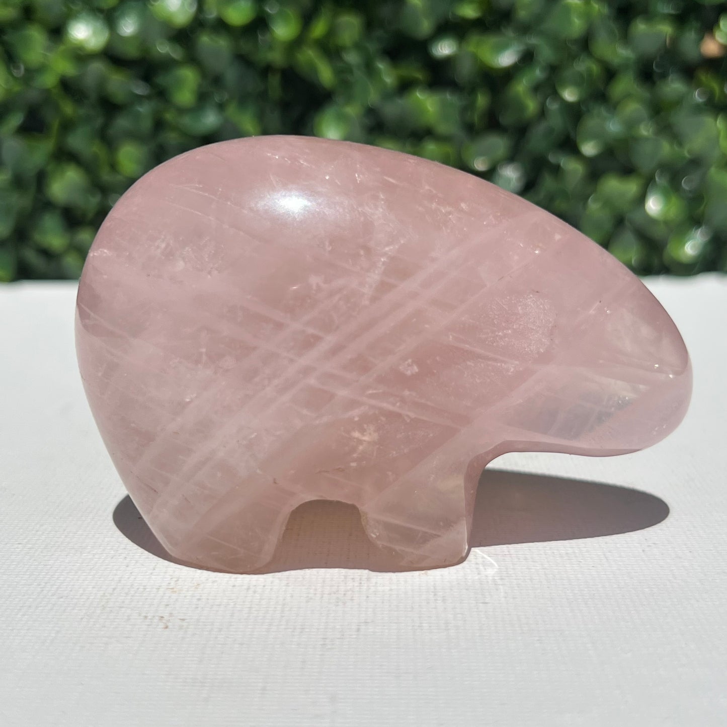 Rose Quartz Wombat