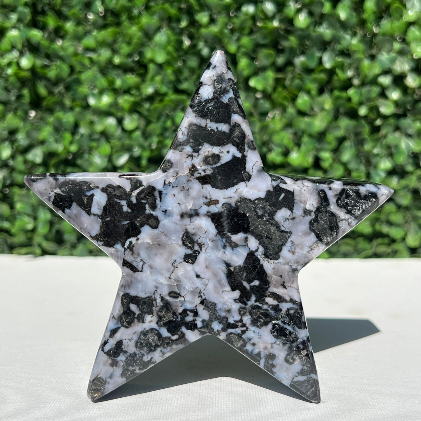 Mystic Merlinite Gabbro Star