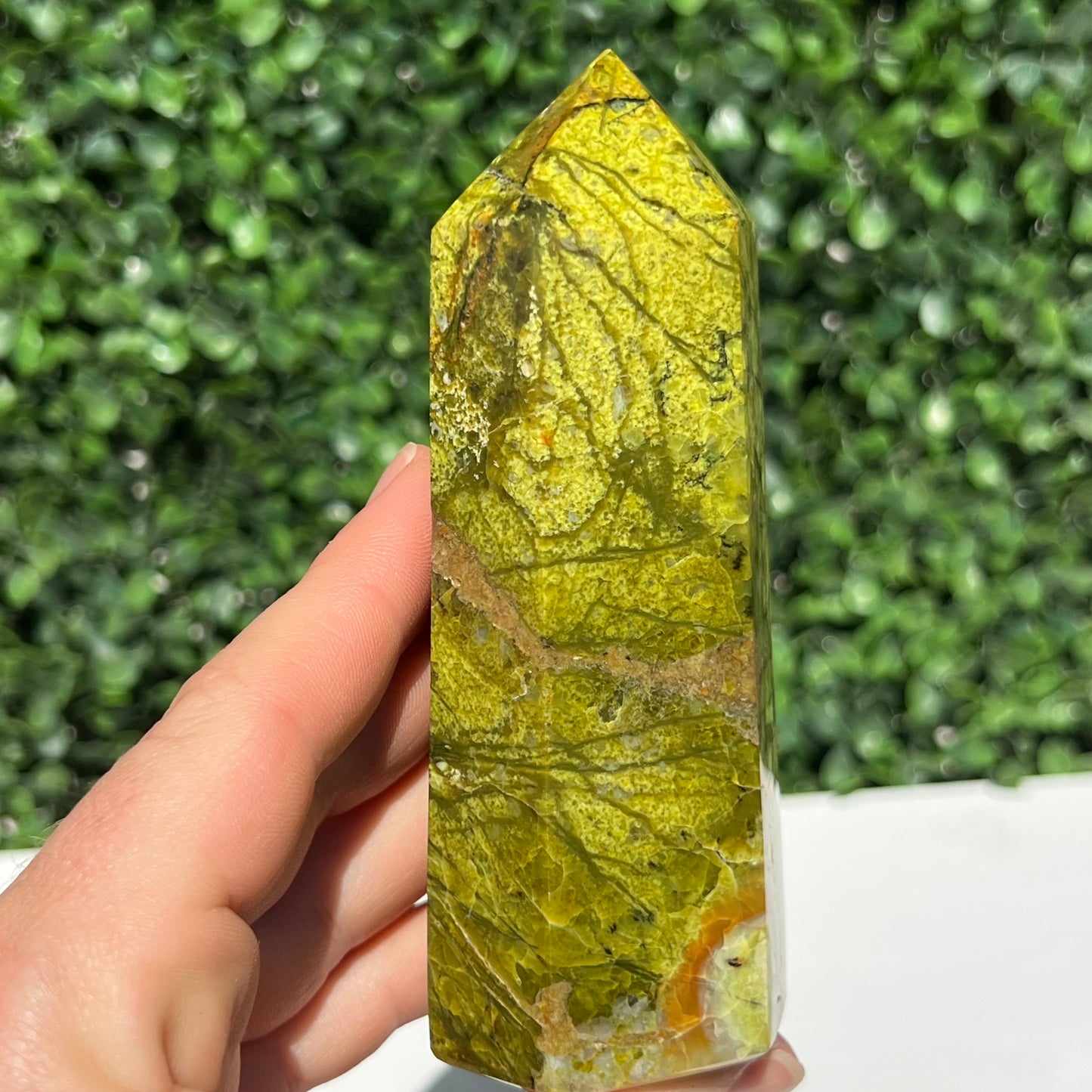 Kiwi Opal Tower
