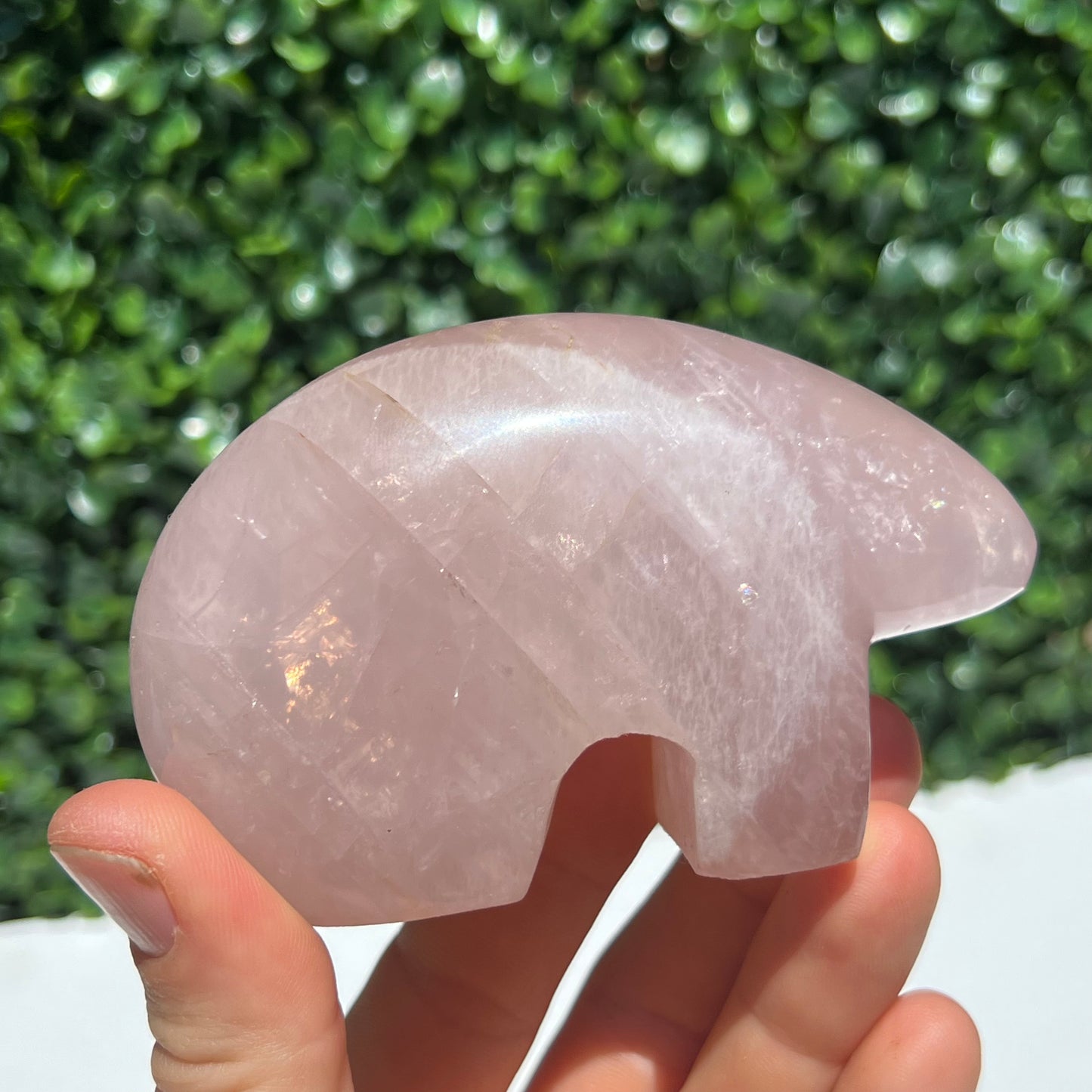 Rose Quartz Wombat
