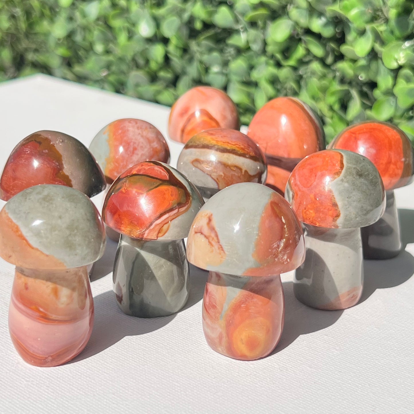 Polychrome Desert Japser Small Mushroom’s
