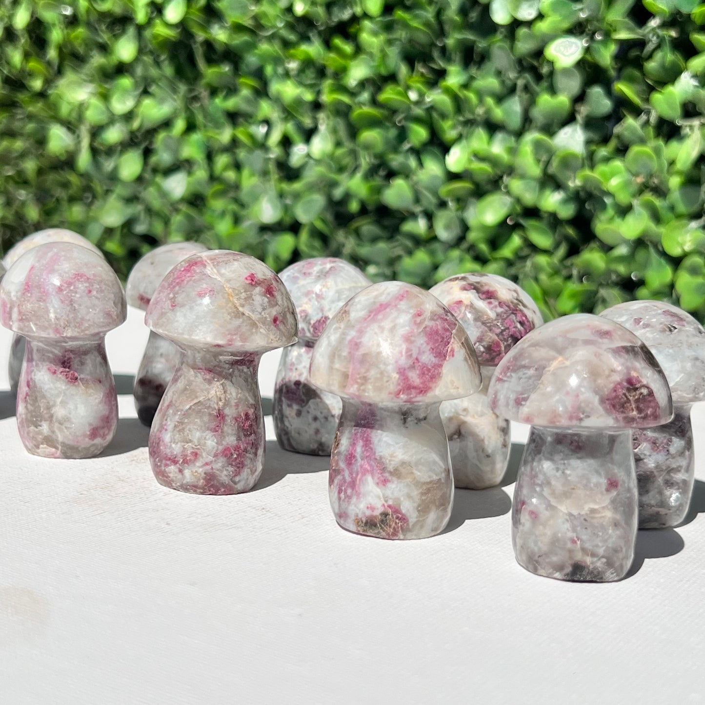 Eudialyte Rubellite Small Mushroom’s