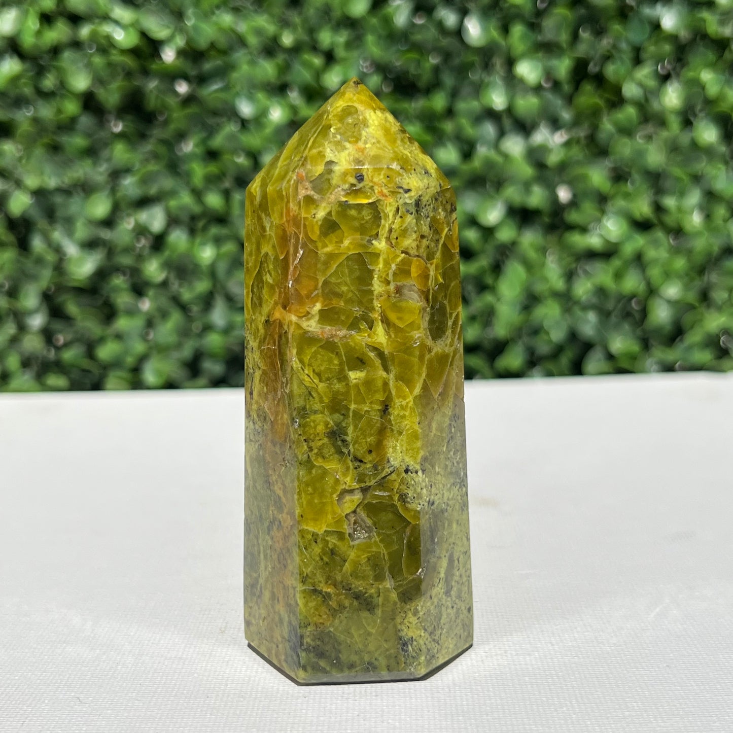 Kiwi Opal Tower