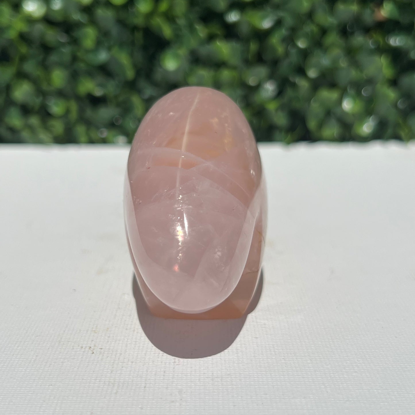Rose Quartz Wombat