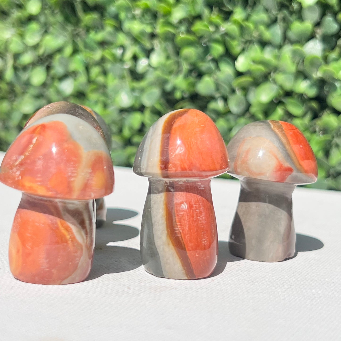 Polychrome Desert Japser Small Mushroom’s