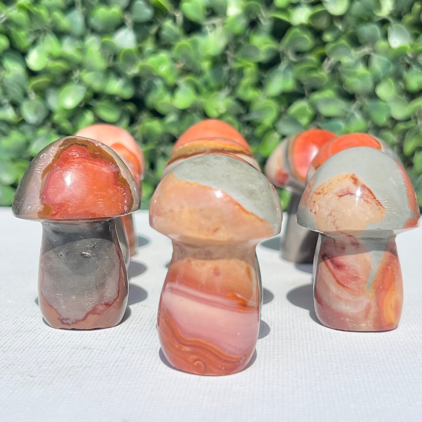 Polychrome Desert Japser Small Mushroom’s