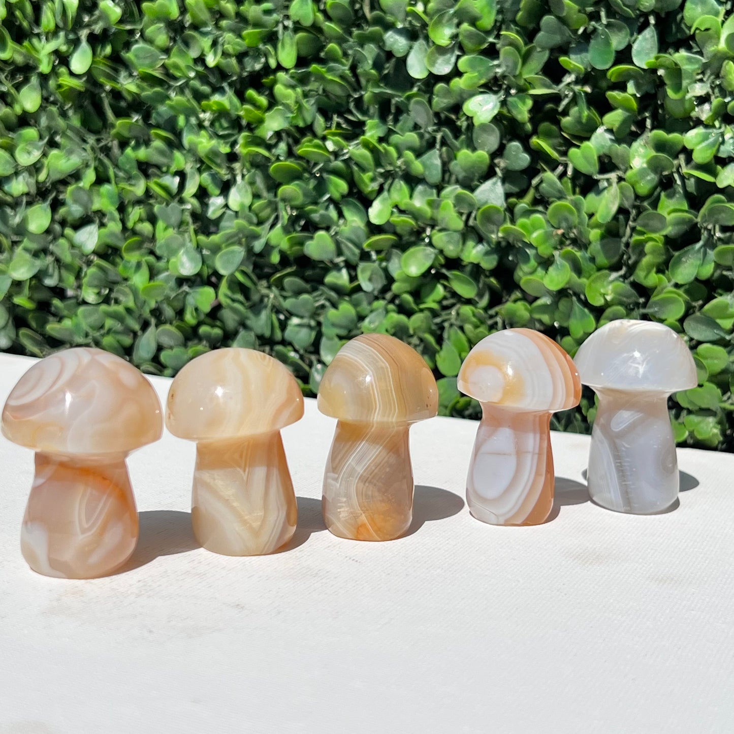 Agate Small Mushroom’s