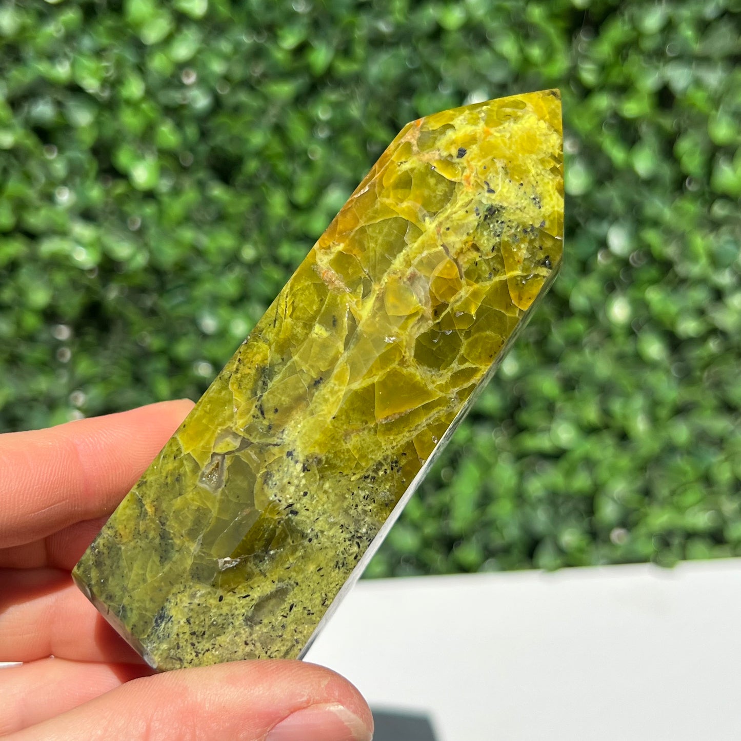 Kiwi Opal Tower