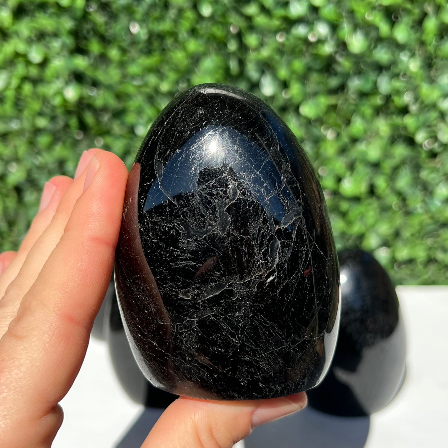 Black Tourmaline Free Form’s