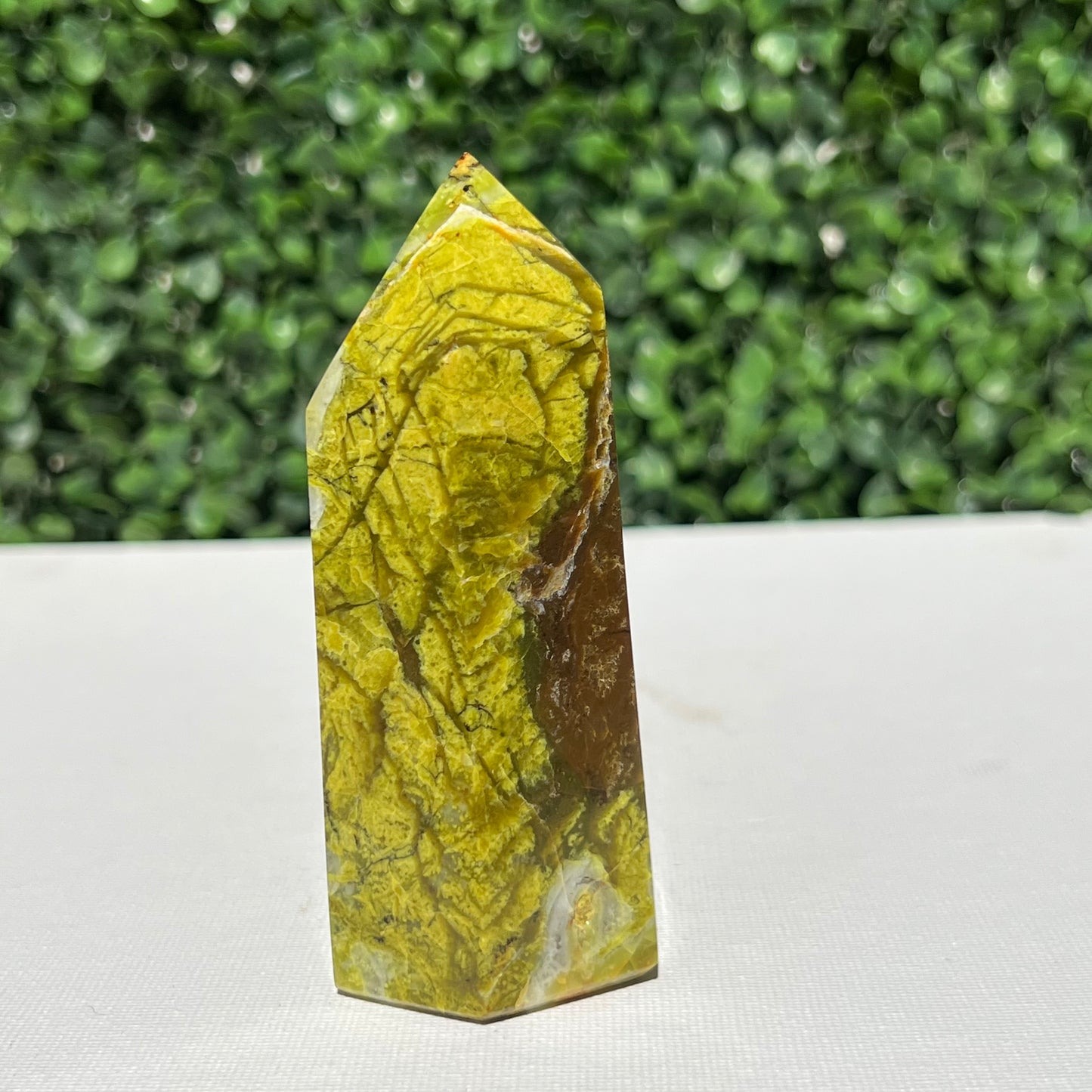 Kiwi Opal Tower