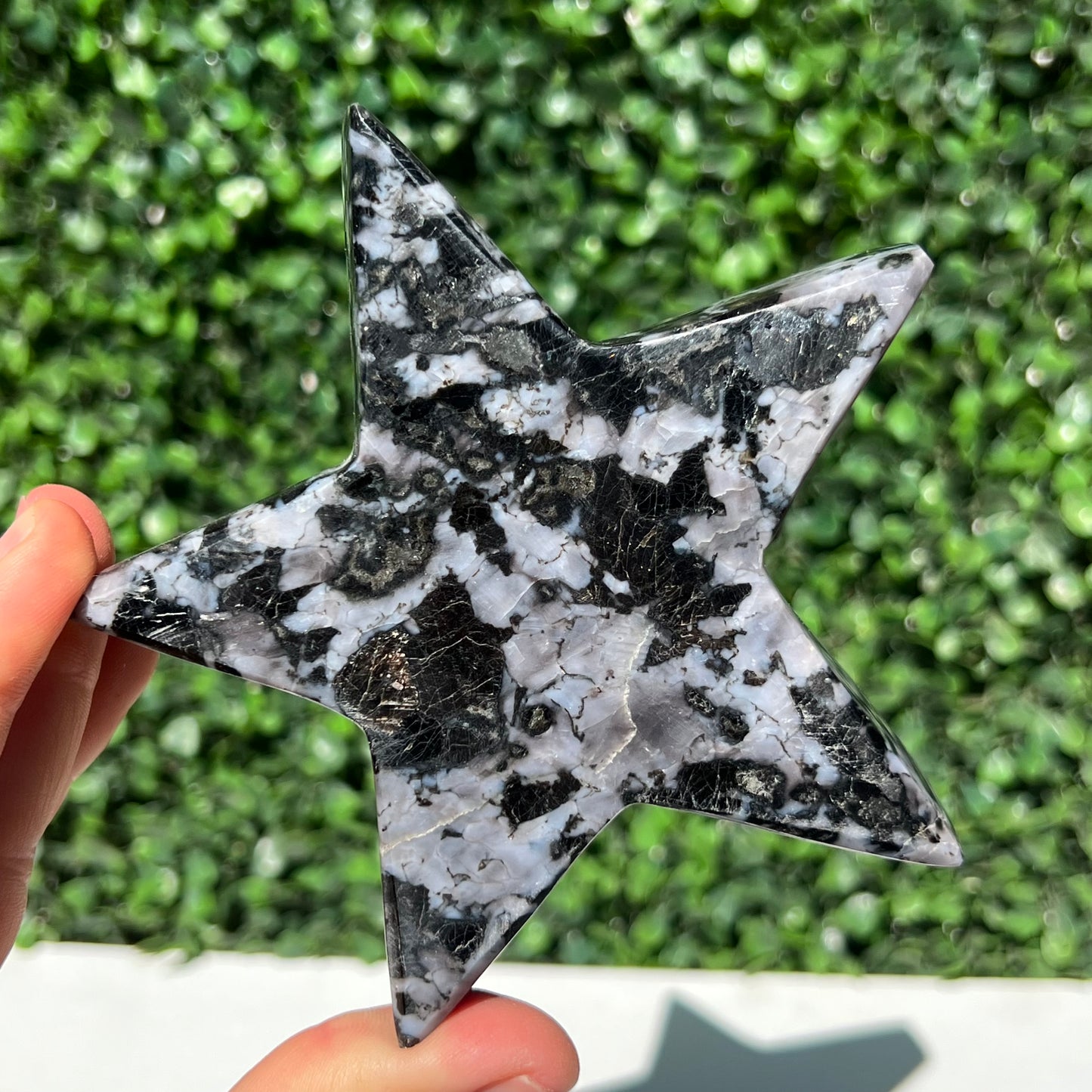 Mystic Merlinite Gabbro Star
