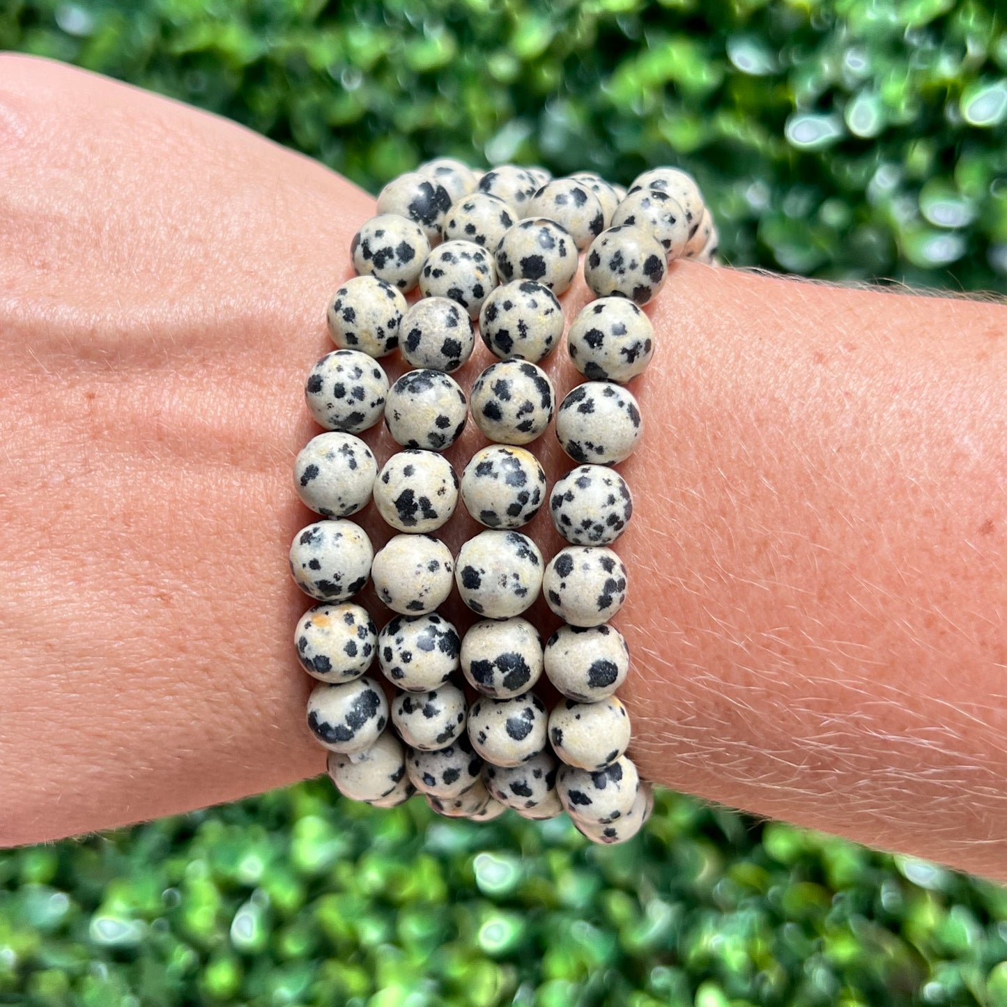 Dalmation Jasper Bracelet - 8mm