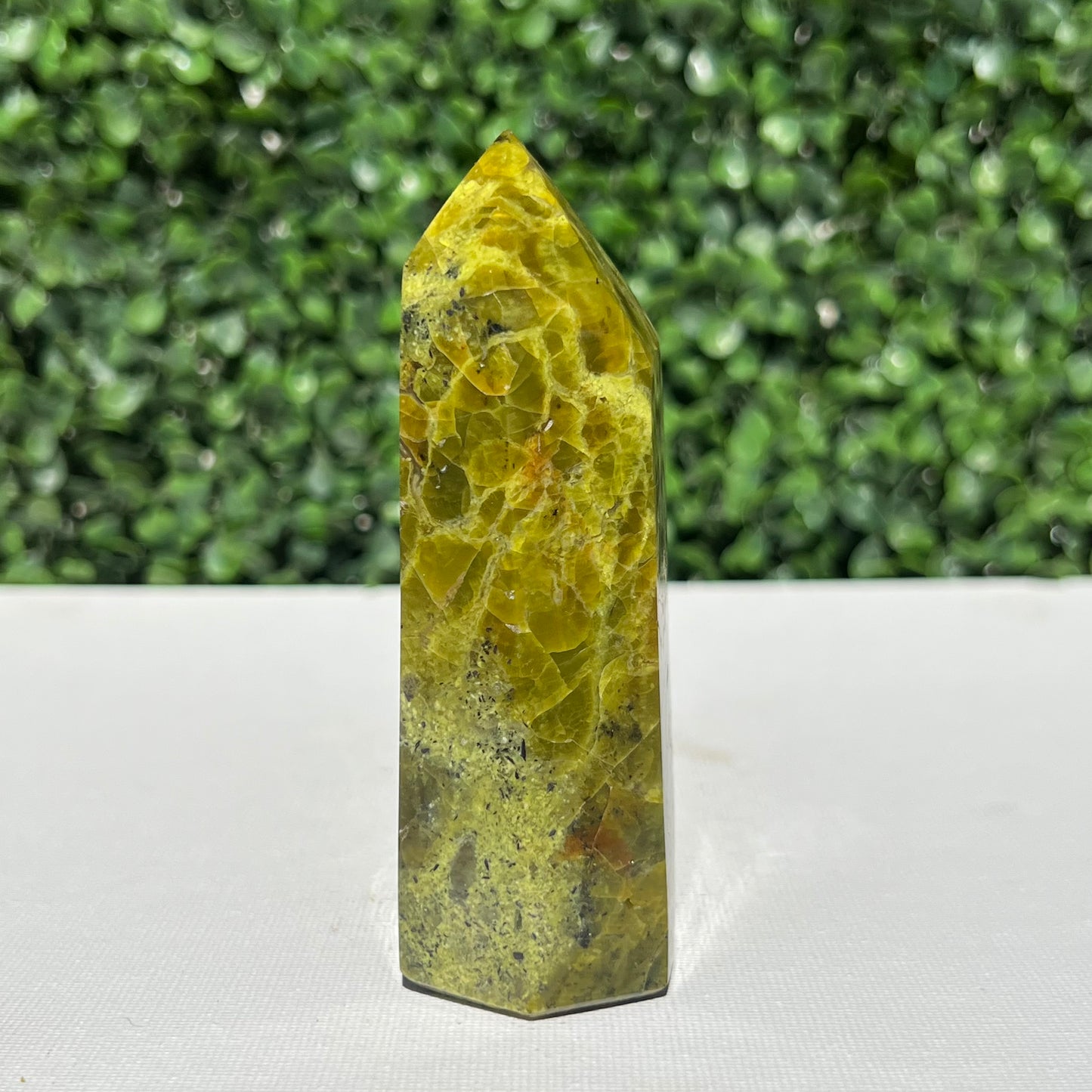 Kiwi Opal Tower