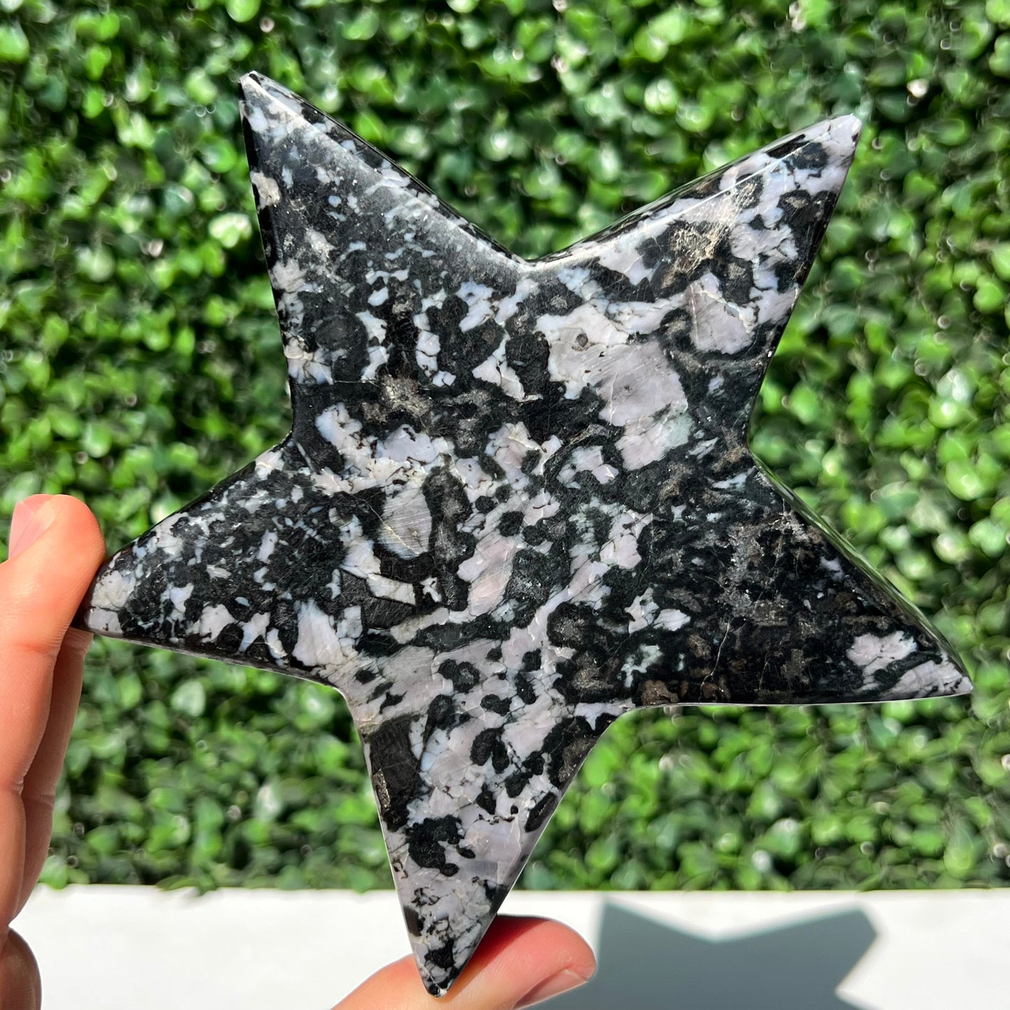 Mystic Merlinite Gabbro Star