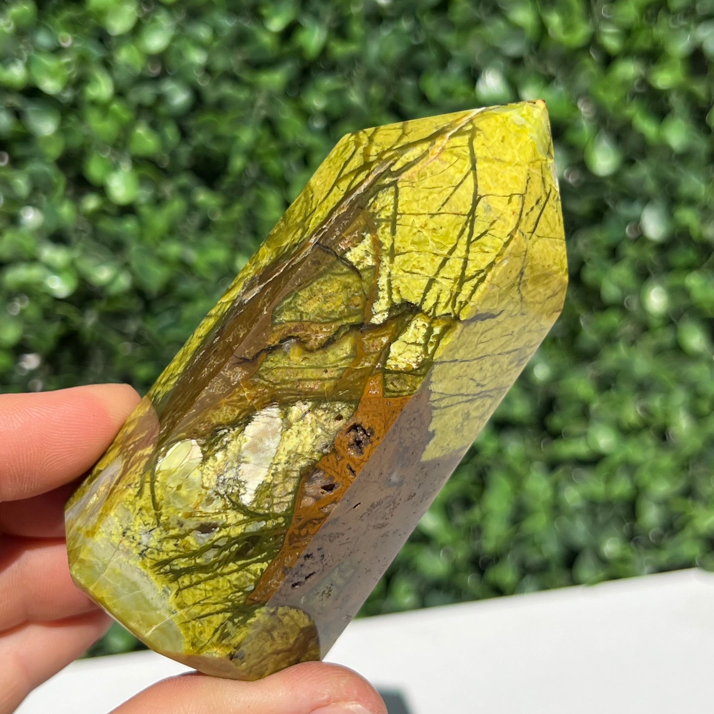 Kiwi Opal Tower