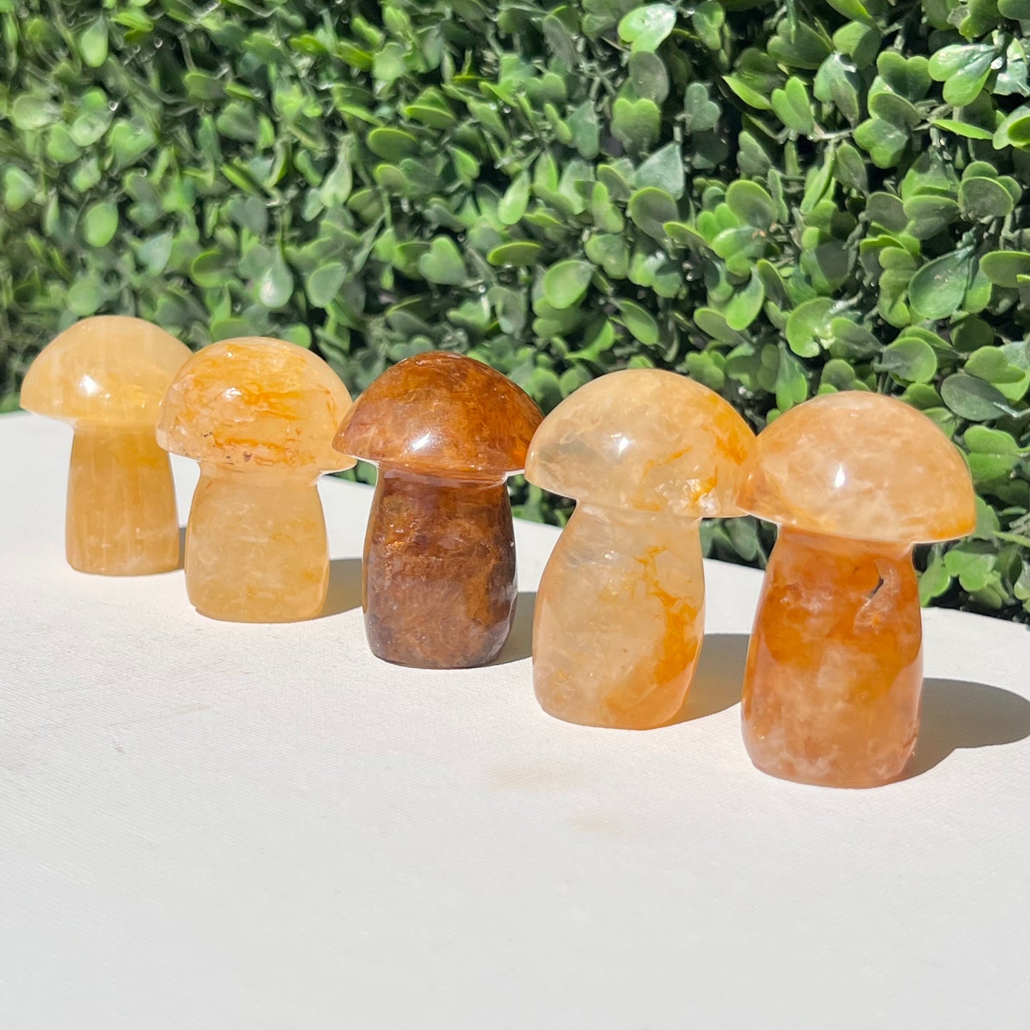 Golden Healer Quartz Small Mushroom’s