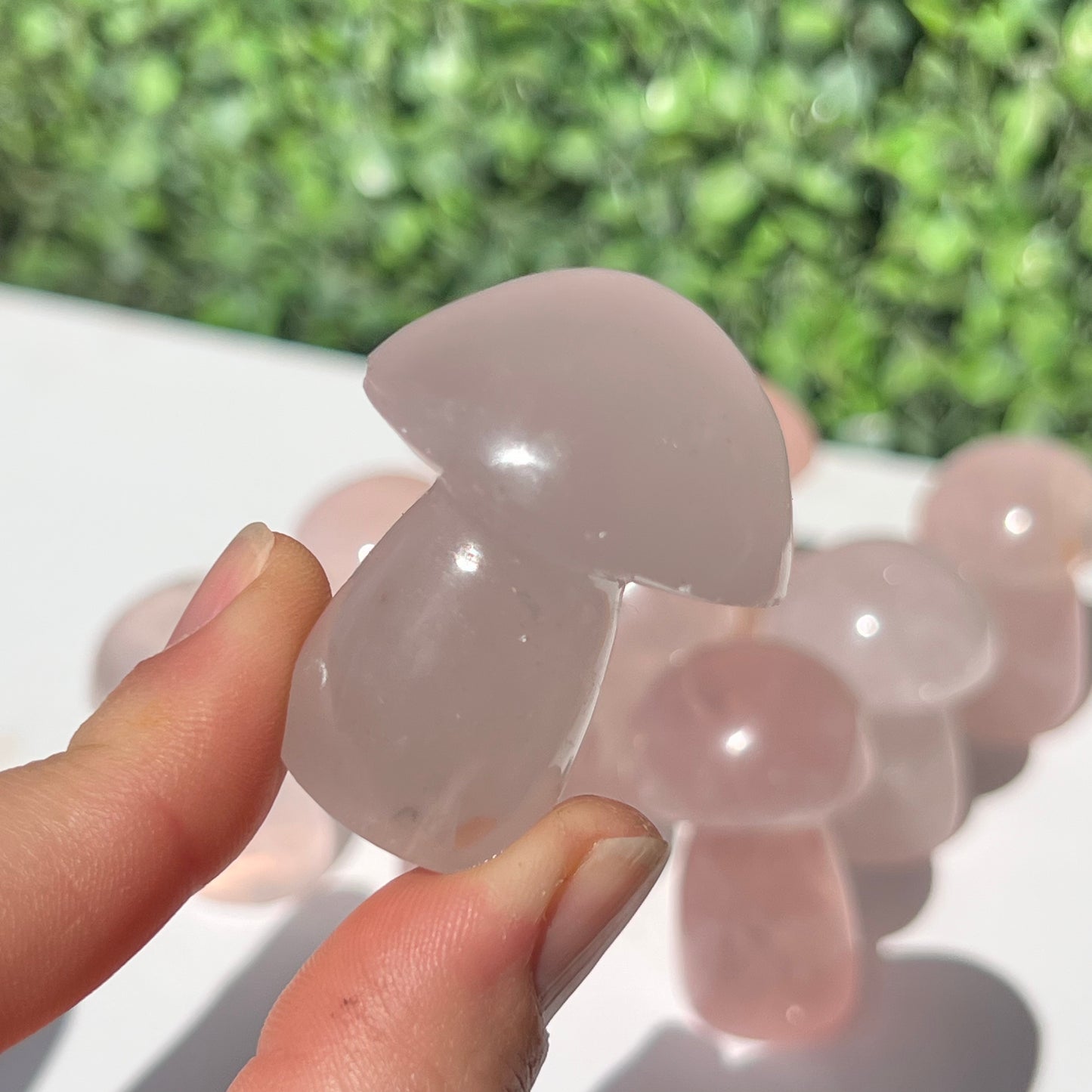 Rose Quartz Small Mushroom’s