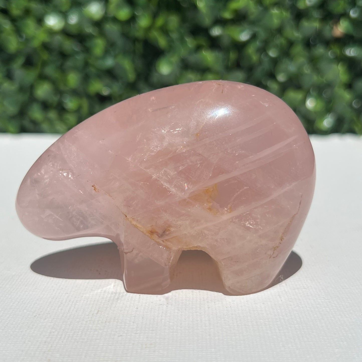 Rose Quartz Wombat