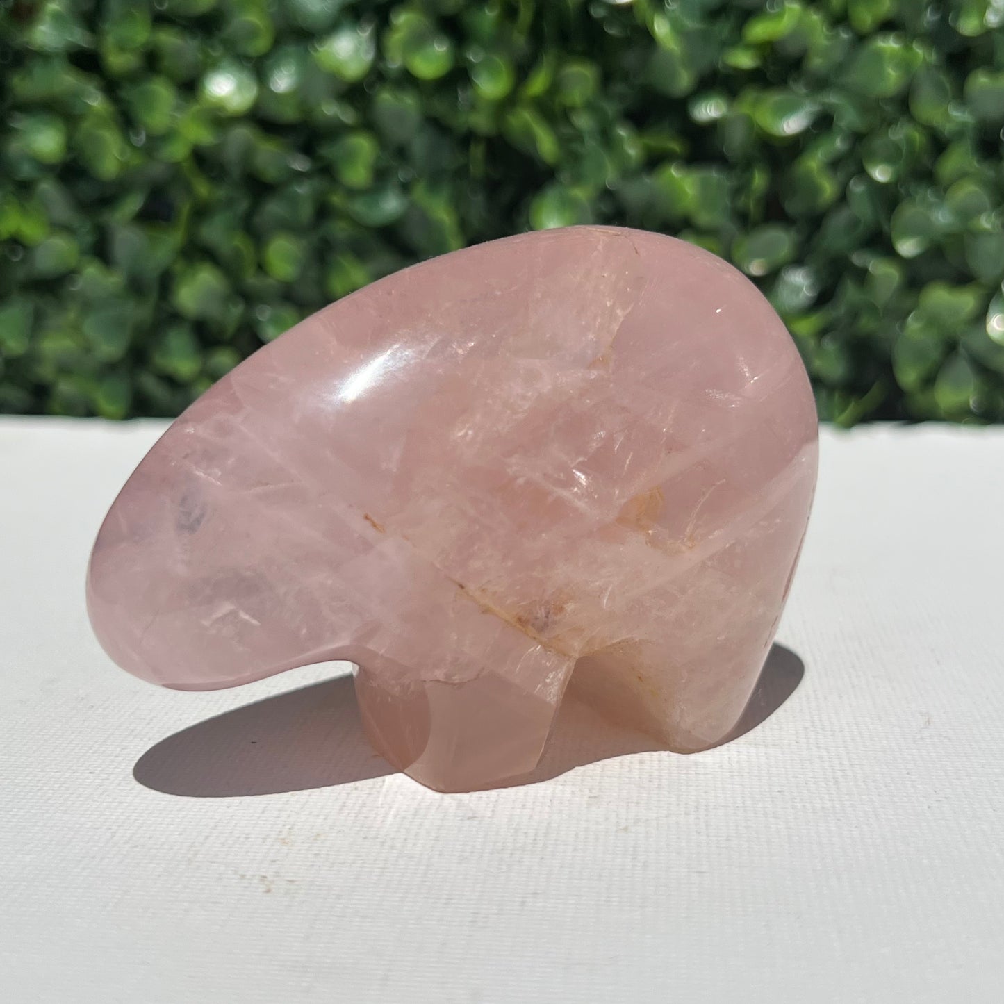 Rose Quartz Wombat