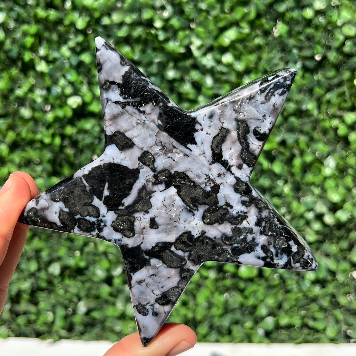 Mystic Merlinite Gabbro Star