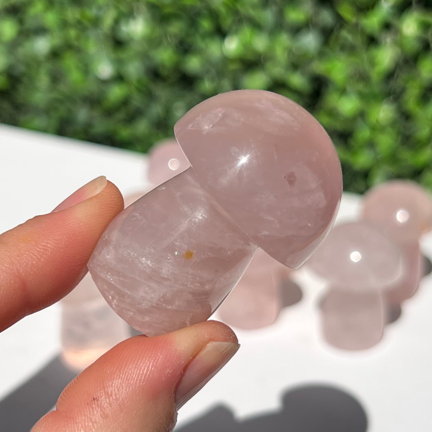 Rose Quartz Small Mushroom’s