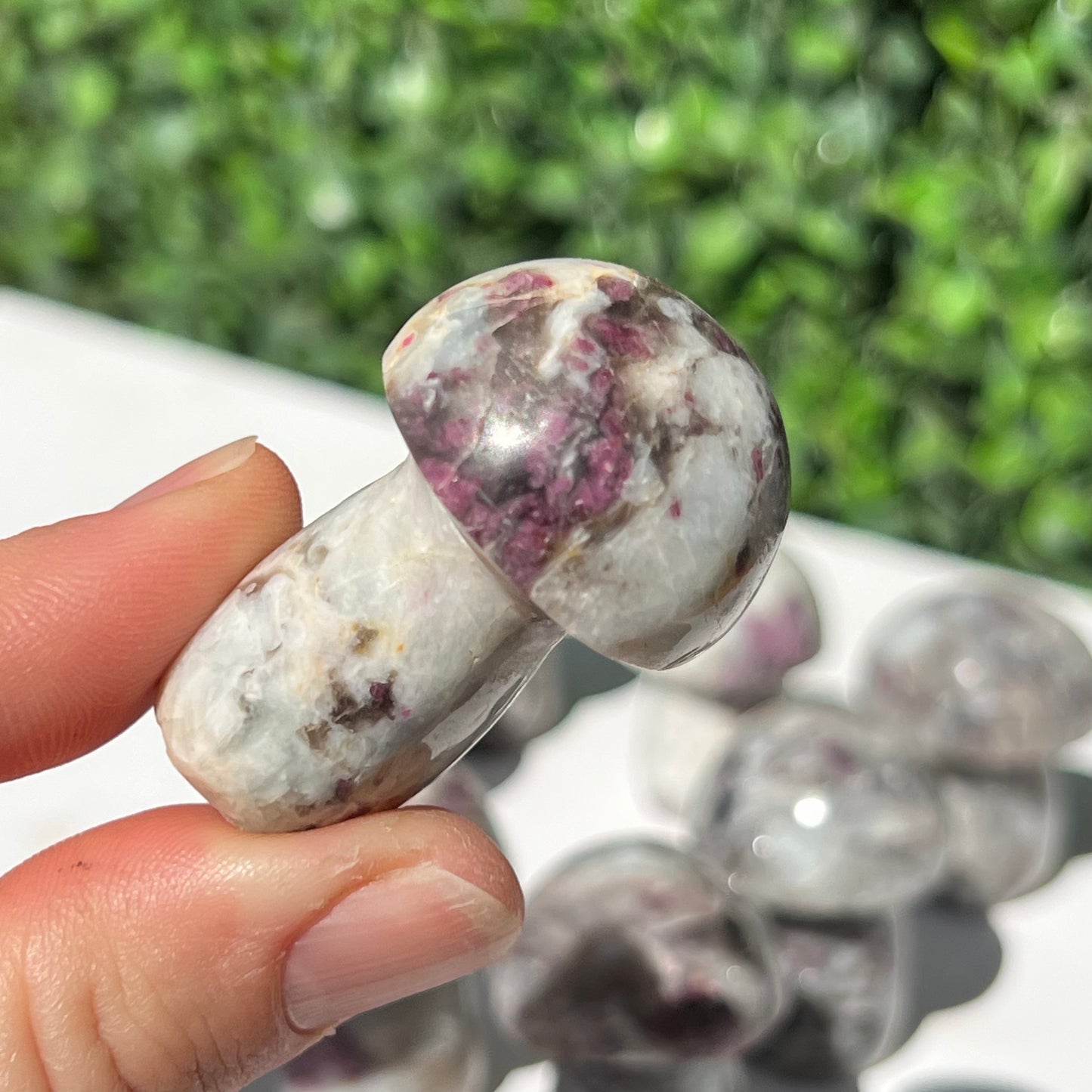 Eudialyte Rubellite Small Mushroom’s