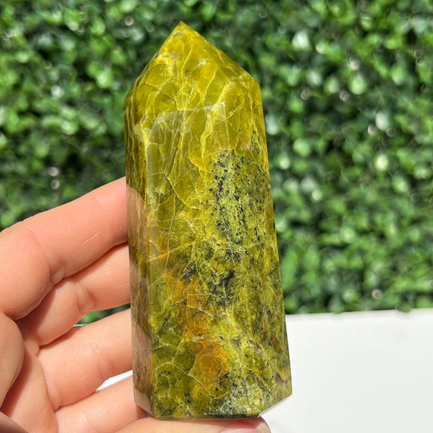 Kiwi Opal Tower