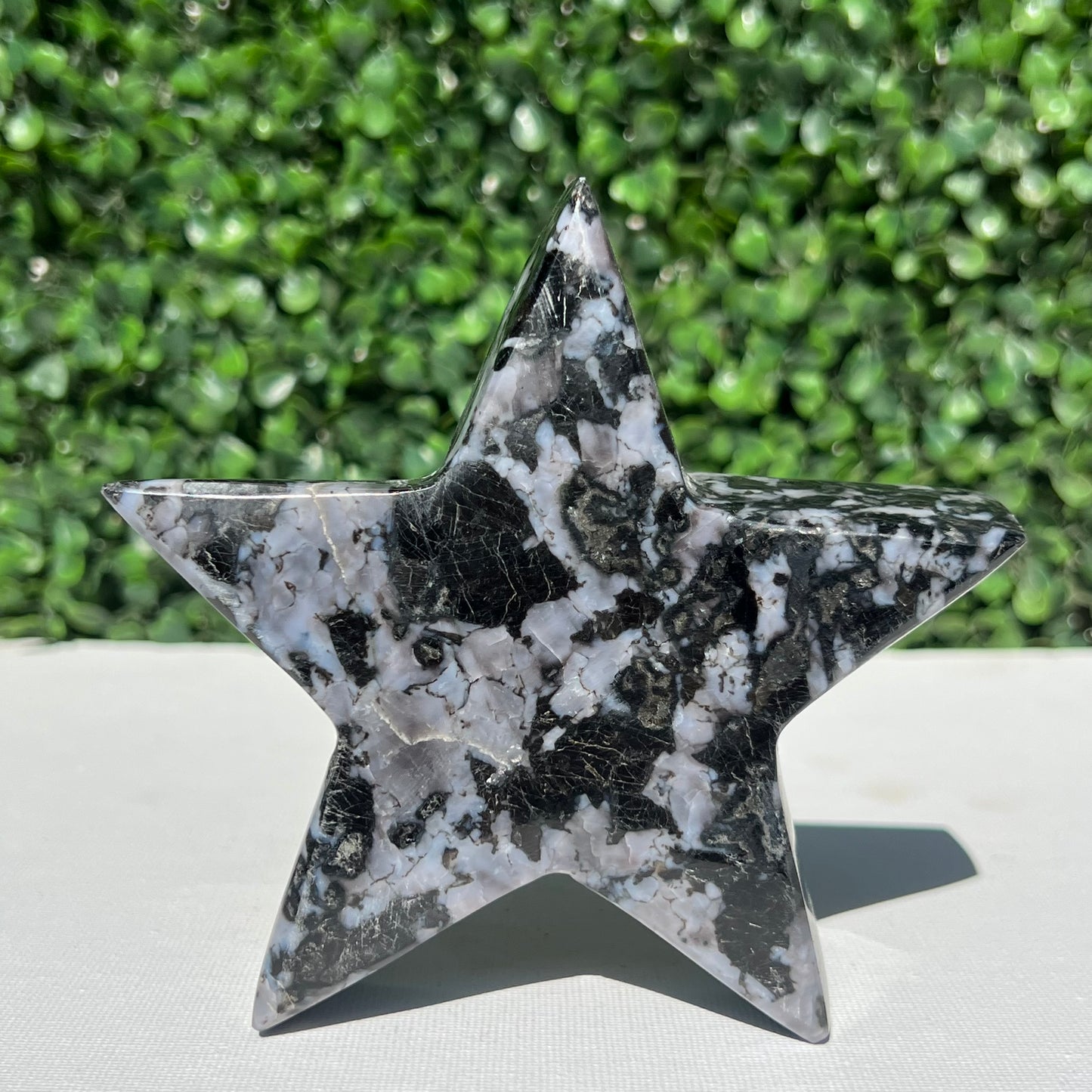 Mystic Merlinite Gabbro Star