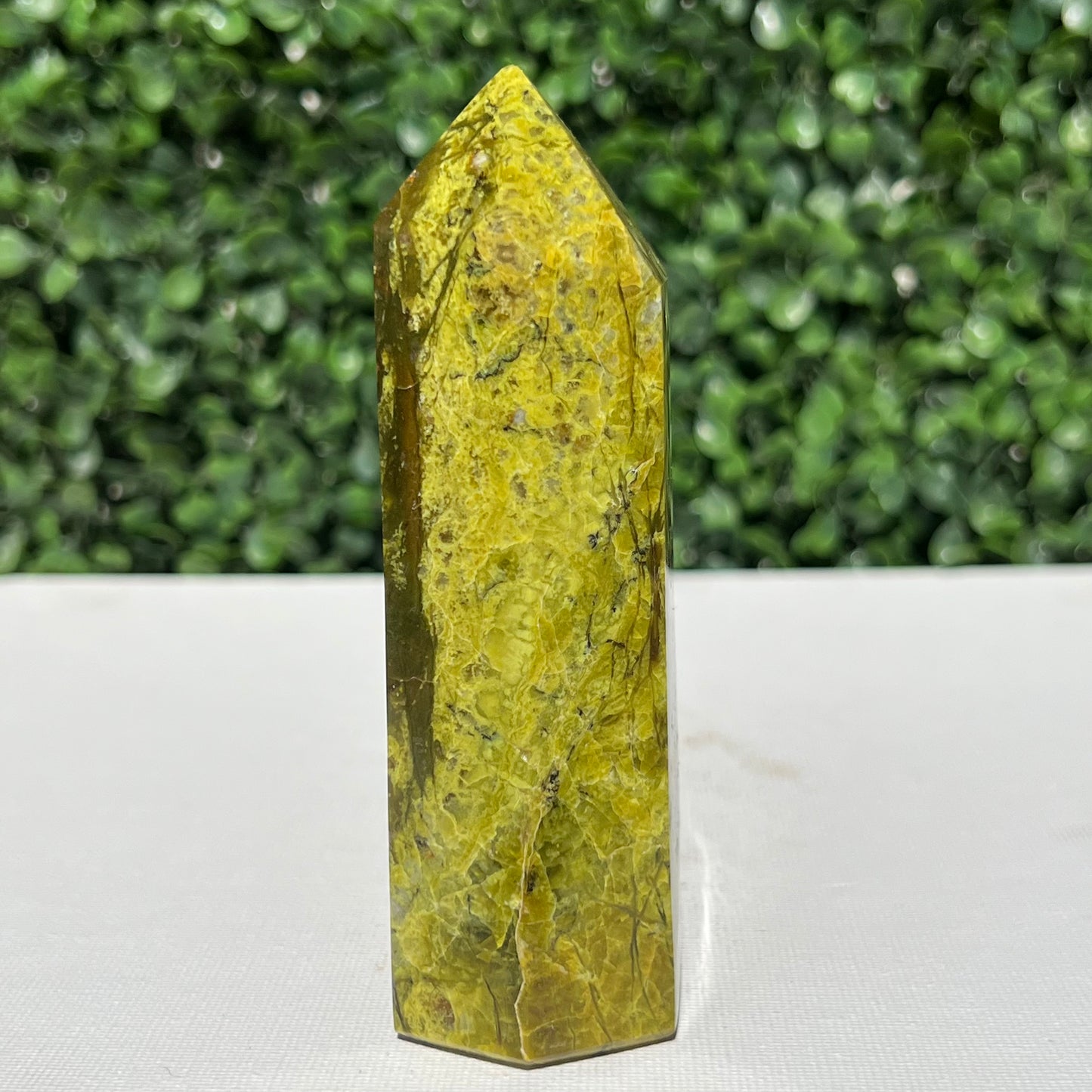 Kiwi Opal Tower