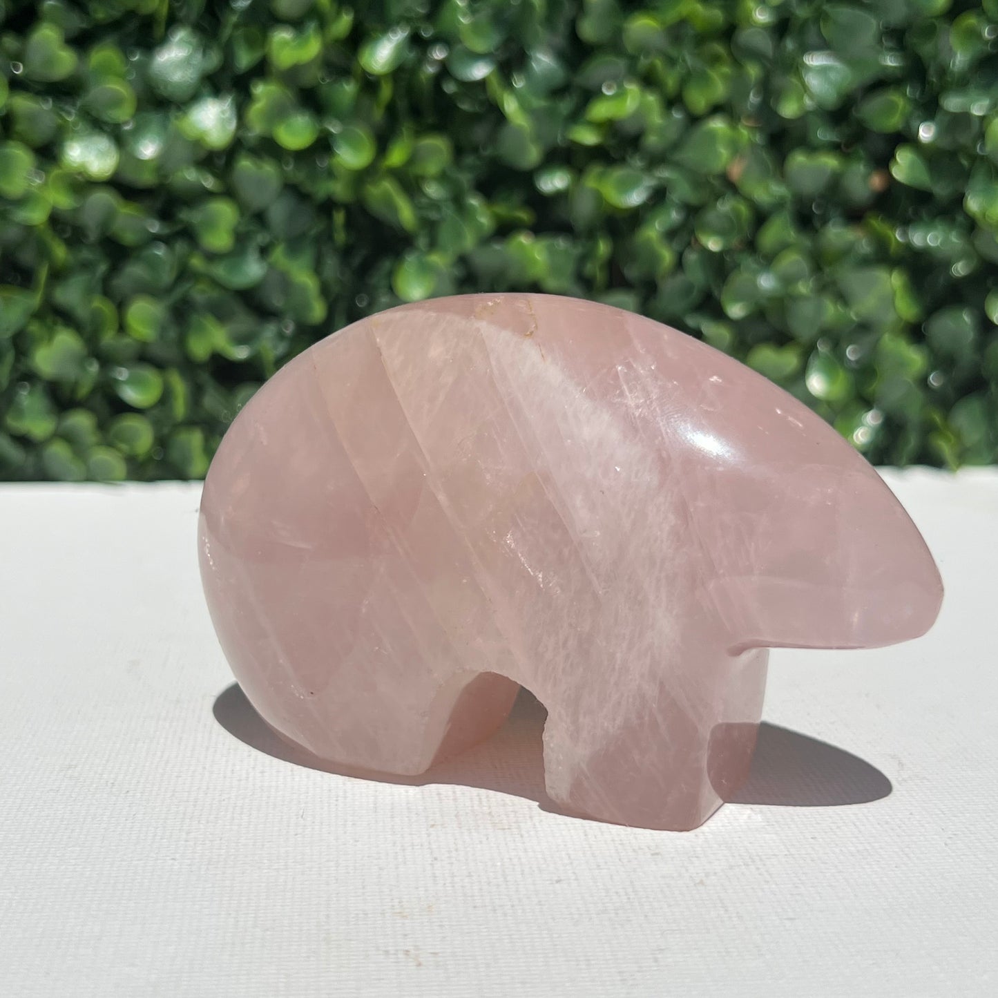 Rose Quartz Wombat