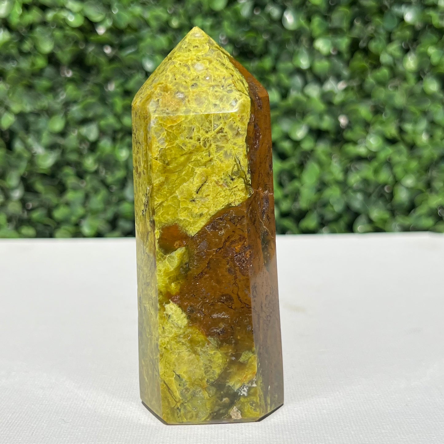 Kiwi Opal Tower