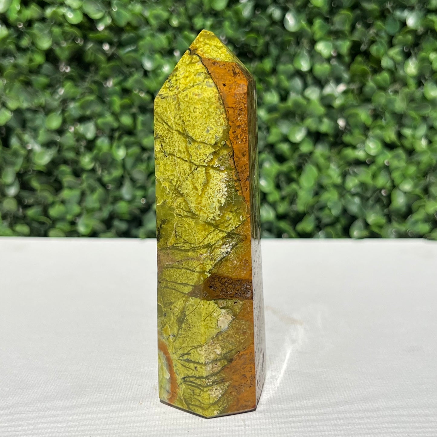 Kiwi Opal Tower