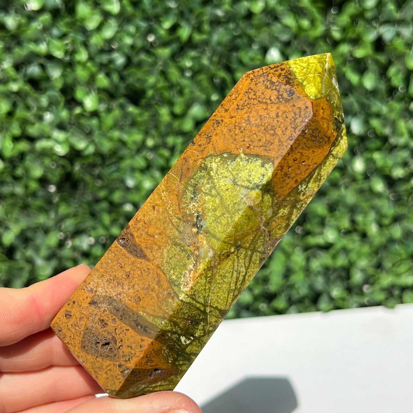 Kiwi Opal Tower