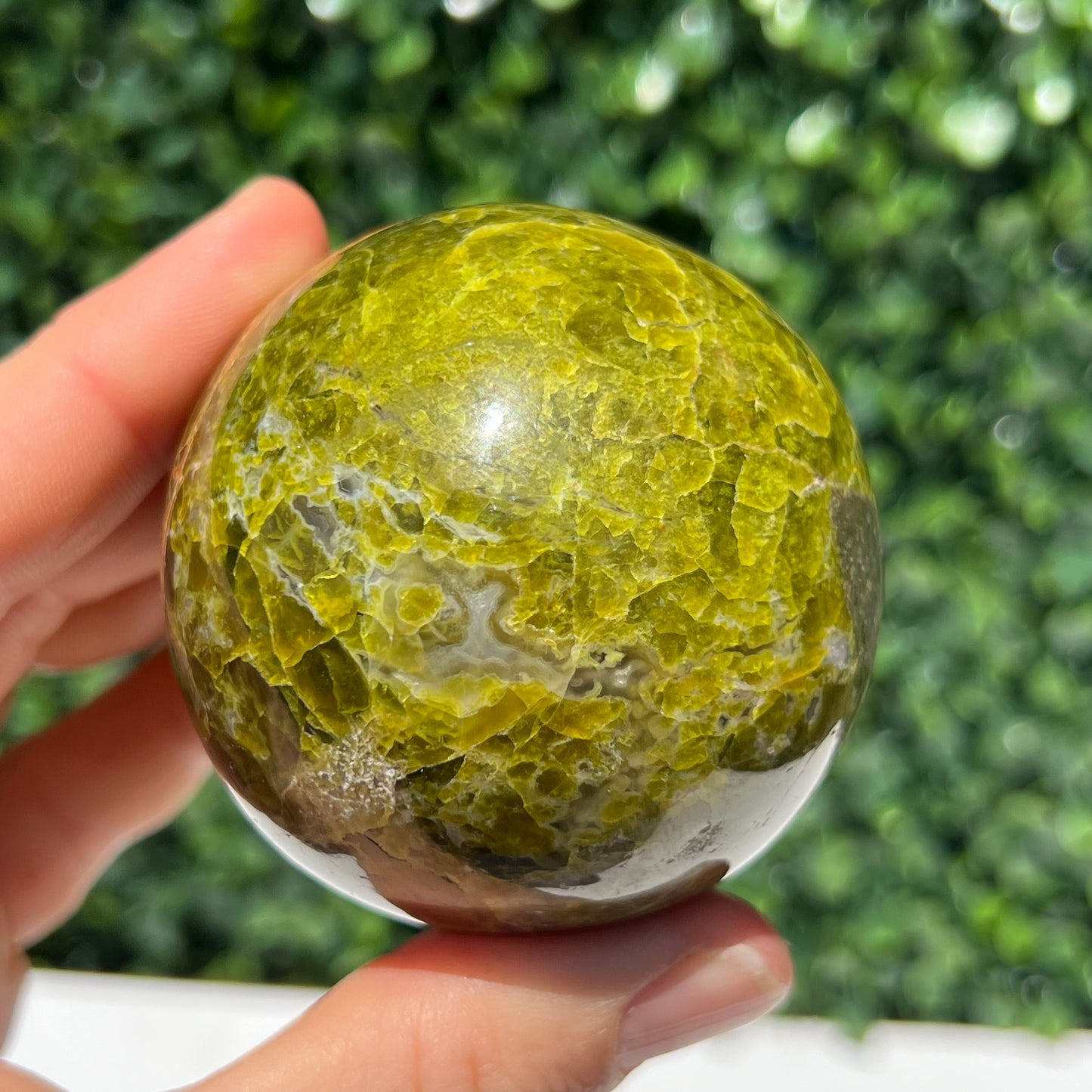 Kiwi Opal Sphere