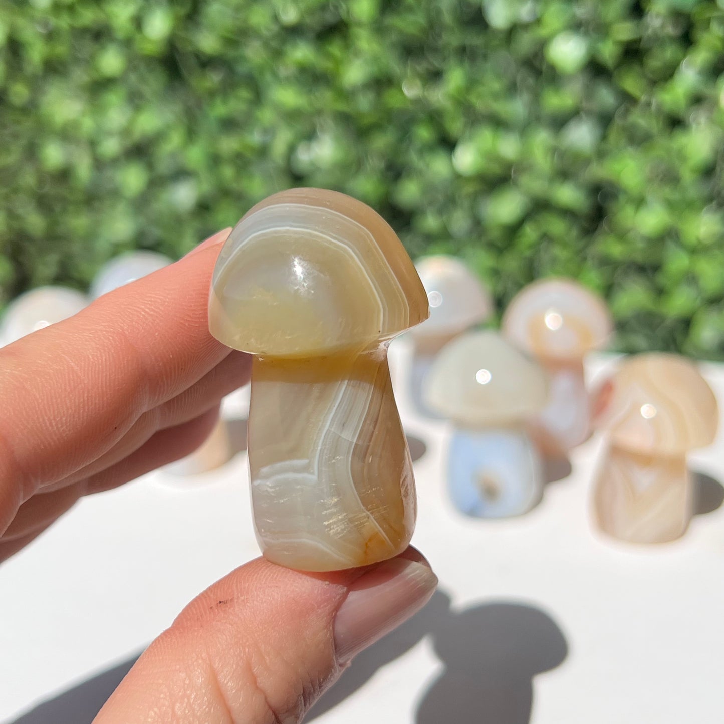 Agate Small Mushroom’s