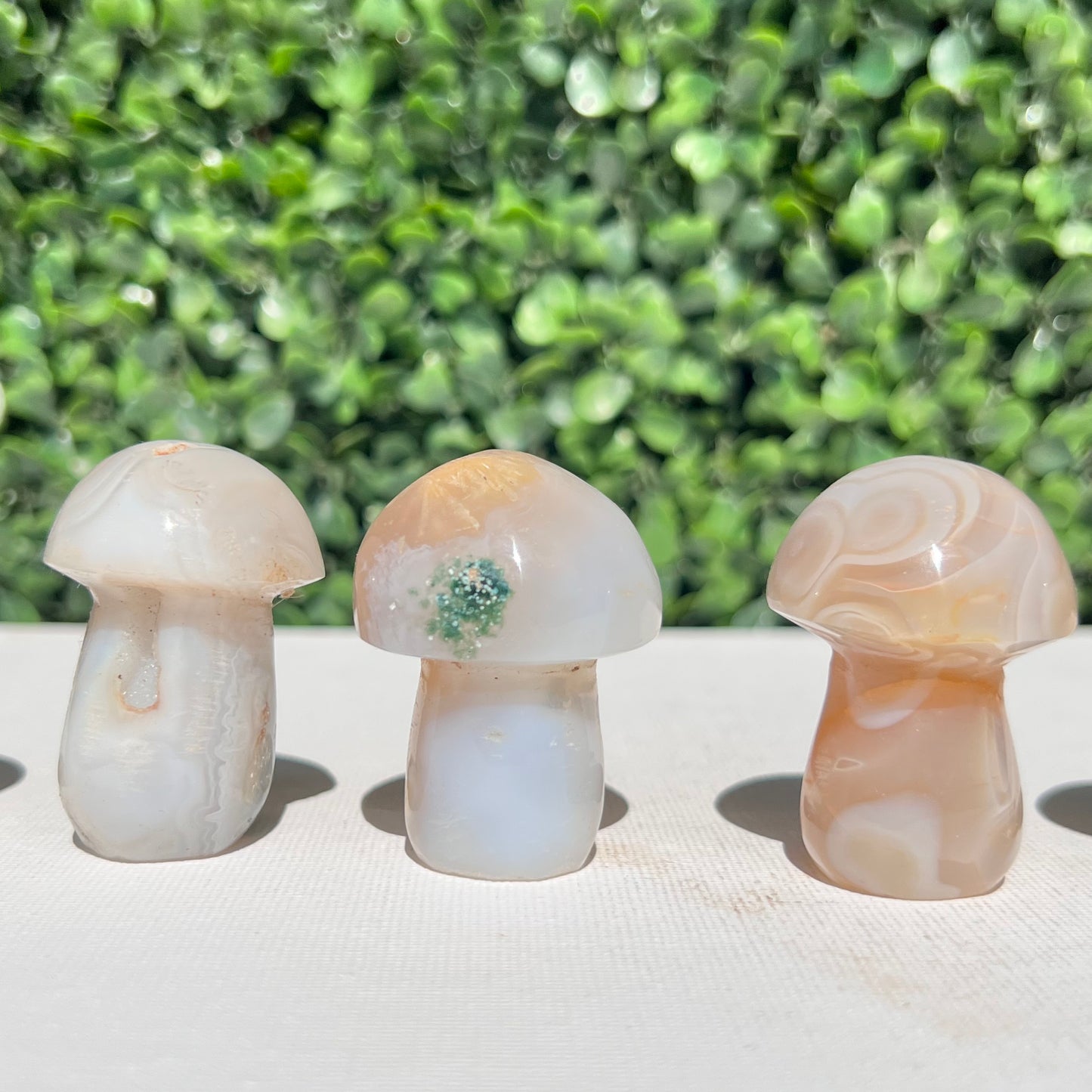 Agate Small Mushroom’s