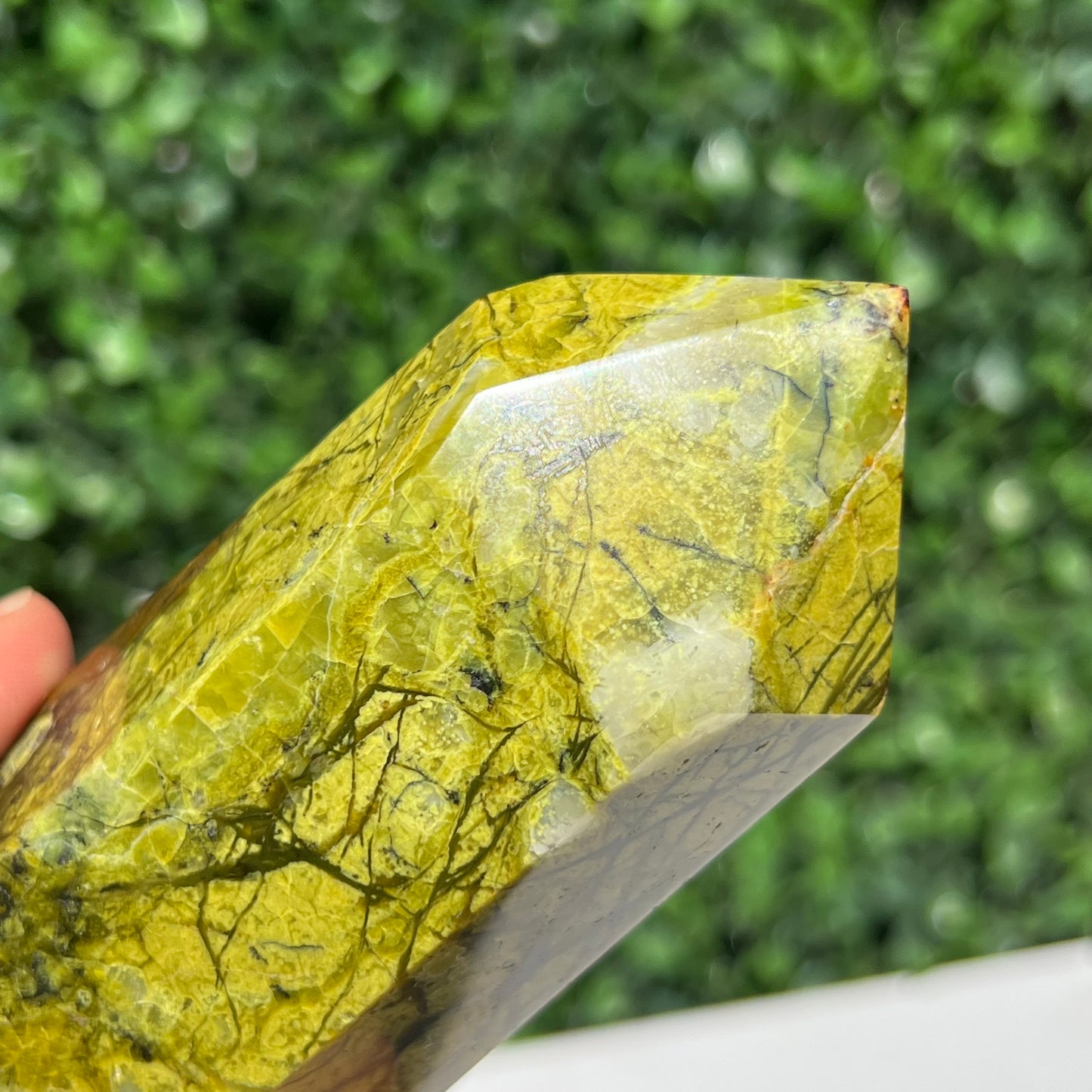Kiwi Opal Tower
