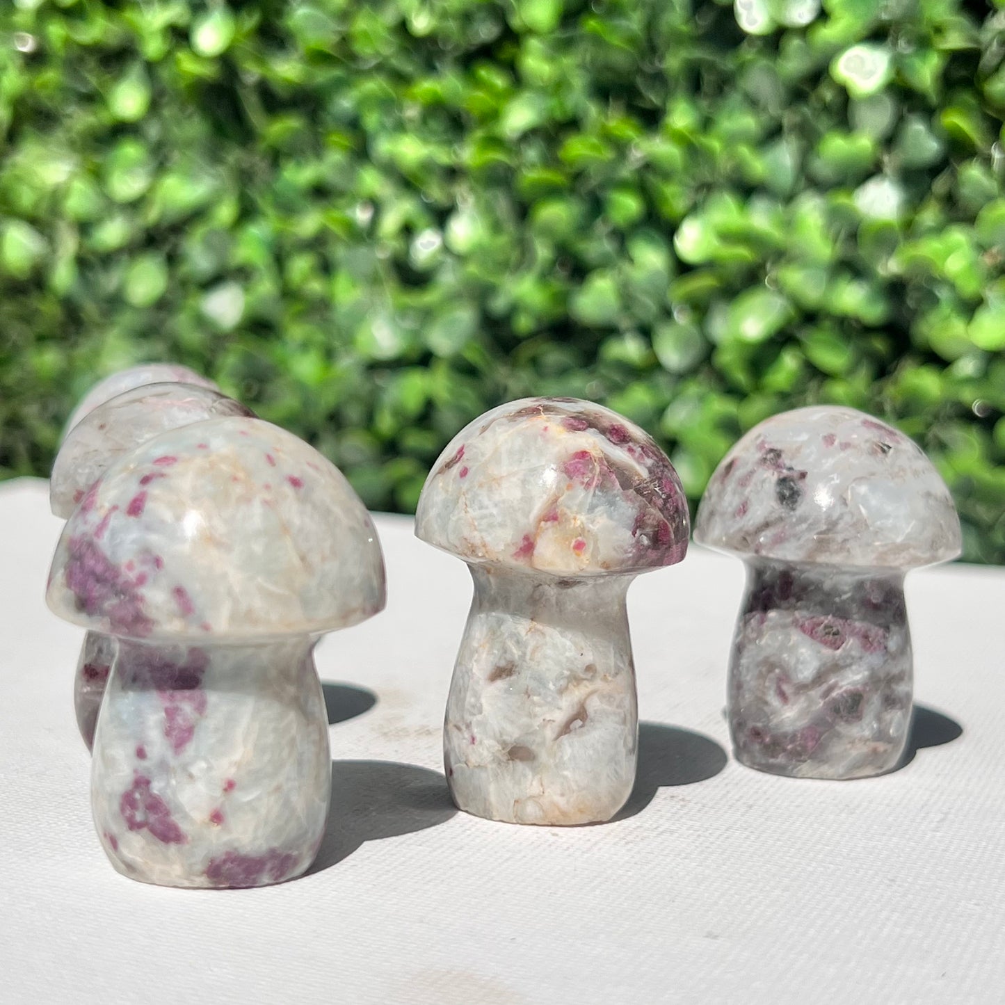 Eudialyte Rubellite Small Mushroom’s
